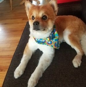 Meet your Posher, Jacob